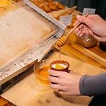 霍斯塔加利亚波夫莱特酒店